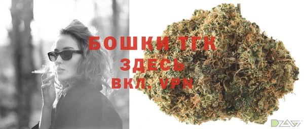 не бодяженный Заводоуковск