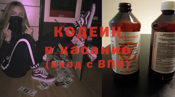 не бодяженный Заводоуковск